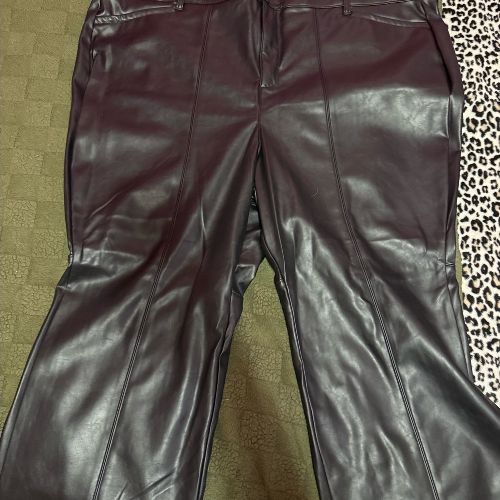 Torrid Black Stretch Pants